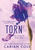 Torn (All Torn Up #1)