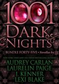 1001 Dark Nights: Bundle Forty-Five