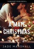 A Mate for Christmas (HelpMate-dotcom #1)