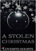 A Stolen Christmas (Madness For Two: The Winthorpe Twins #2)