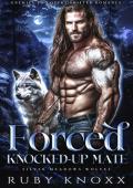 Forced Knocked-Up Mate (Silver Meadows Wolves #5)