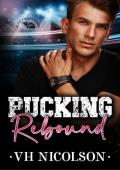 Pucking Rebound (Elite Eagles #3)