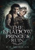 The Shadow Prince’s Ruin (Dark Companions #2)