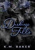 Darkness Falls (The Darkness Duet #2)