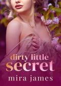 Dirty Little Secret