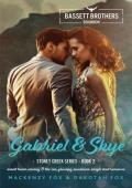 Gabriel & Skye: Bassett Brothers Bourbon. A Small Town, Nanny & the CEO, Grumpy Sunshine, Si