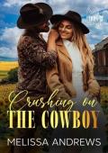 Crushing on The Cowboy: Iron H Ranch 2