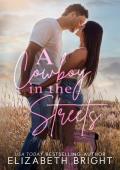 A Cowboy in the Streets (Lodestar Ranch Book 1)