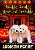 Double Double Recoil and Trouble (Pain in the Assassin Cozy Mysteries Book 2)