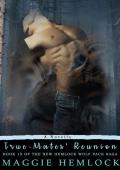 True-Mates‘ Reunion: An M/M Shifter Romance Novella (The New Hemlock Wolf Pack Saga Book 19)