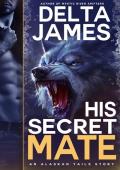 His Secret Mate: A Grumpy Fated Mates Romance