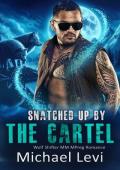 Snatched Up by the Cartel: Wolf Shifter MM MPreg Romance