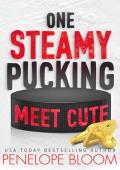 One Steamy Pucking Meet Cute: A Secret Baby Hockey Rom Com (Frosty Harbor Book 3)