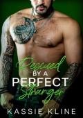 Rescued By A Perfect Stranger: A Single Dad, Age Gap Romance (Bearberry Bay - Rescue Series Book 4)