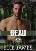 Beau (Bayou Brotherhood Protectors #4)