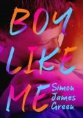 Boy Like Me: A Searing YA Novel About Two Boys Finding Love in the Shadow of Section 28