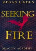 Seeking Fire (Dragon Academy Book 1)