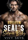 Broken SEAL’S Secret Baby (Billionaire Protectors: The Lanes Series)