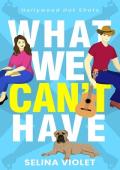 What We Can’t Have (Hollywood Hot Shots #1)