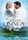 Silver Linings (The Silver Springs #1)