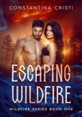 Escaping Wildfire (Wildfire #1)