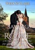 Saving Mr Rooke (Villain’s Redemption)