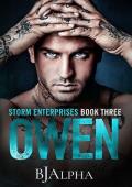 Owen (Storm Enterprises #3)