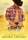 Double Bucked (Double or Nothing #2)