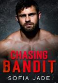 Chasing Bandit (The Cameron Cowboys #2)