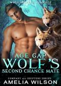 Age Gap Wolf’s Second Chance Mate (Company 417 Shifters, #38)