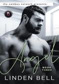 Angel (The Camboy Network #3)