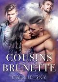 The Cousins and the Brunette (New Boston Elites #2)