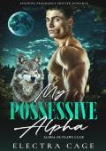 My Possessive Alpha (Alpha Outlaws Club #3)