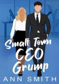 Small Town CEO Grump