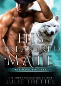 His Treasured Mate (Six Pack Shifters #6)