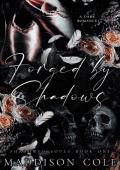 Forged by Shadows (Shadowed Souls #1)