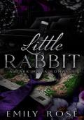 Little Rabbit (New York Mafia #2)