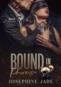 Bound in Promise (Bound #2)