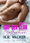 Gay Sex Club Collection (Gay Sex Club Stories)