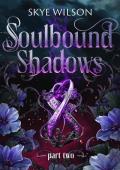 Soulbound Shadows, Part 2