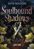 Soulbound Shadows, Part 1