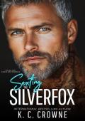 Sexting the Silverfox (Silver Fox Daddies #20)