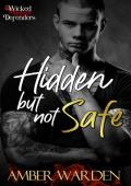 Hidden But Not Safe (Wicked Defenders #2)