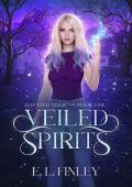 Veiled Spirits (Haunted Magic #1)