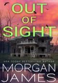 Out of Sight (Secrets of Brookhaven #1)