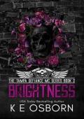 Brightness (The Tampa Defiance MC #2)