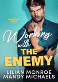 Working with the Enemy (Small Town Sizzle #1)